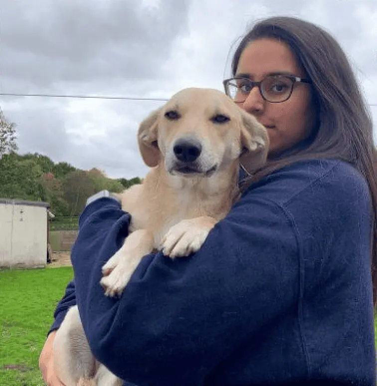 A photo of Paws2Rescue team member Keaton holding a happy dog
